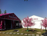 北京草莓音乐节搭建